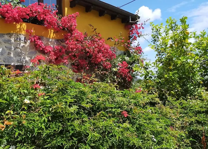La Casita De Las Flores