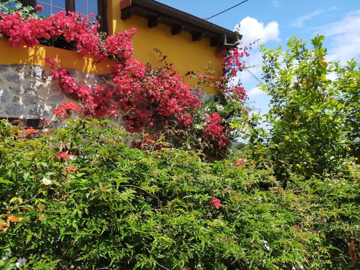 La Casita De Flores * Monte Miravalles