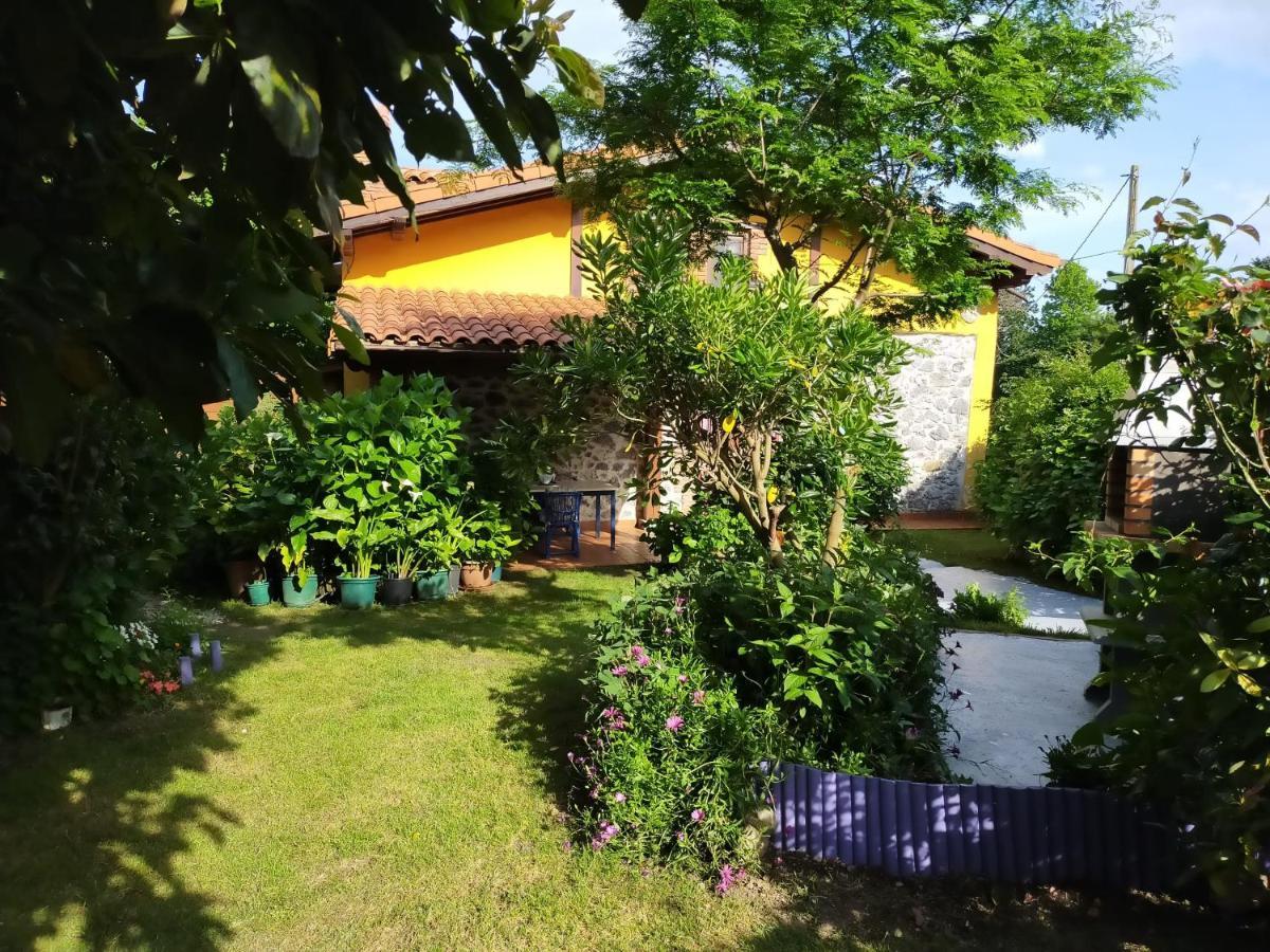 La Casita De Flores *