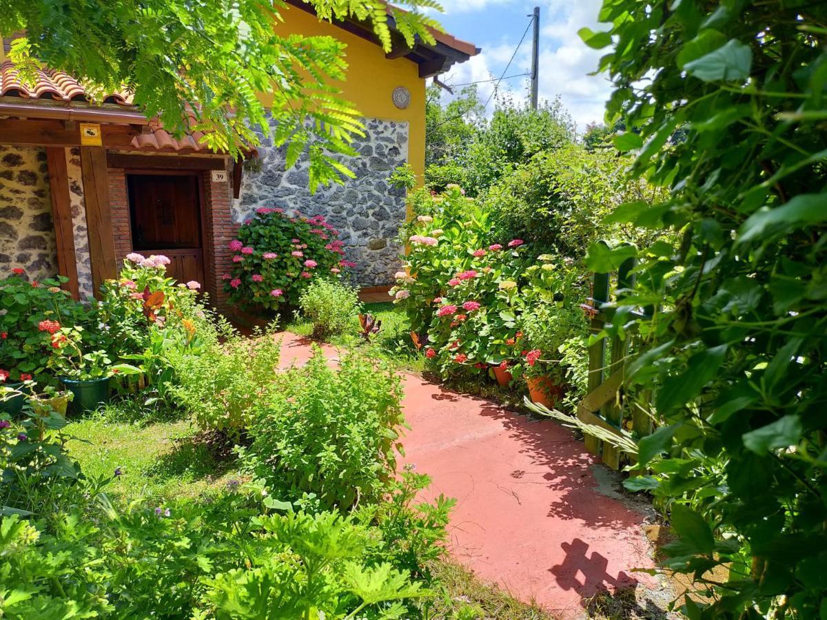 La Casita De Flores * Monte Miravalles