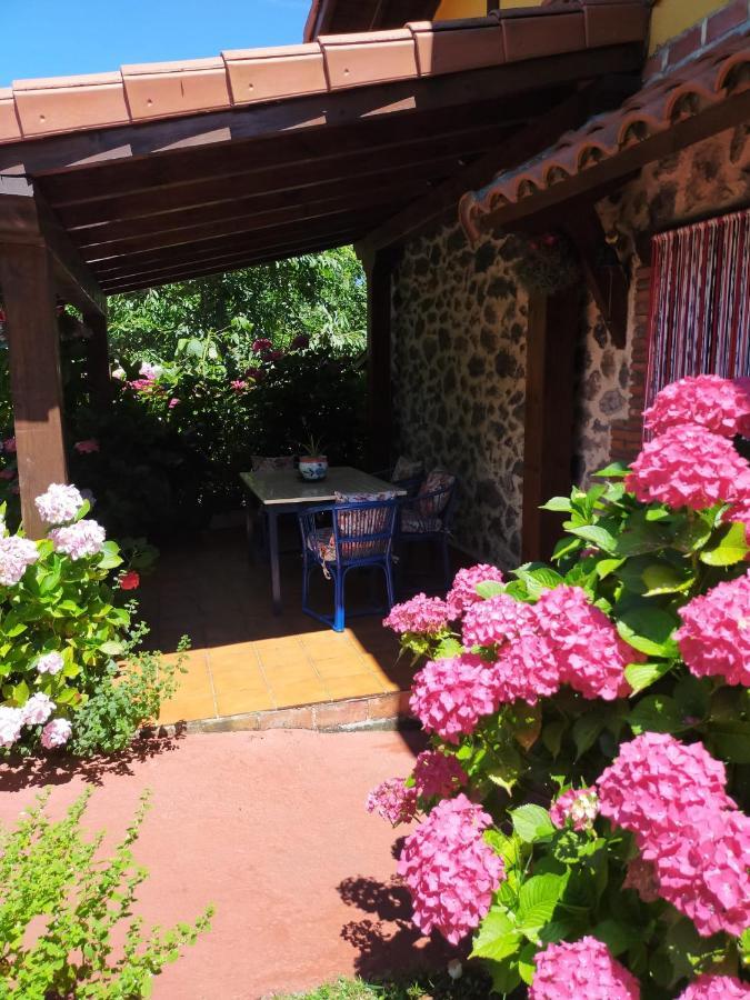 La Casita De Flores *